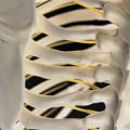 When should neck pain be a concern?